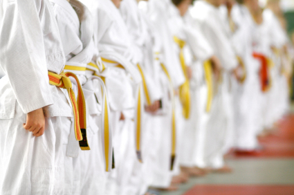 Martial Arts Insurance in Rochester, Dover, Somersworth, Barrington, Strafford County, NH